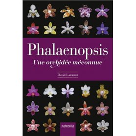 Phalaenopsis - Une orchidée méconnue