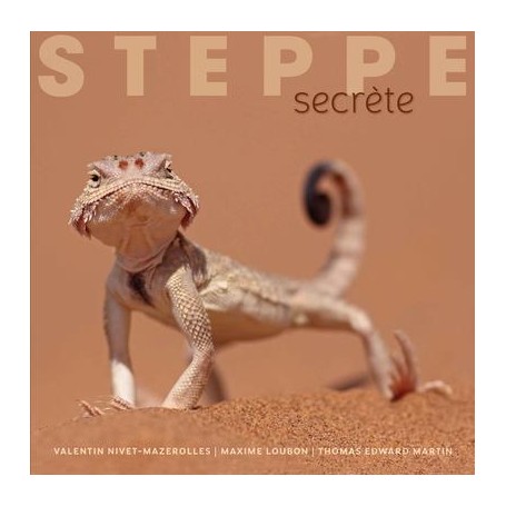 Steppe secrète