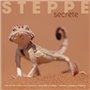 Steppe secrète