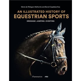 An Illustrated History of Equestrian Sports