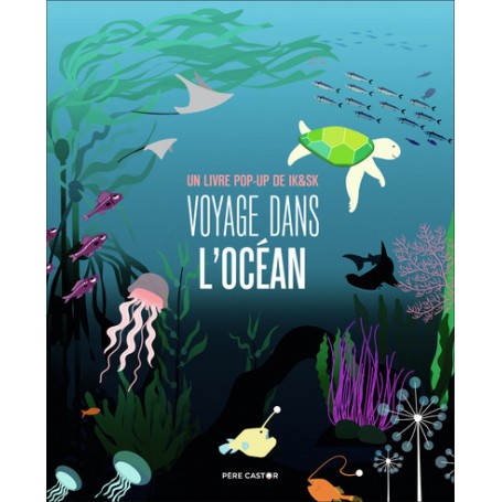 Voyage dans l'océan