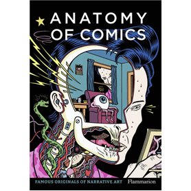 Anatomy of Comics