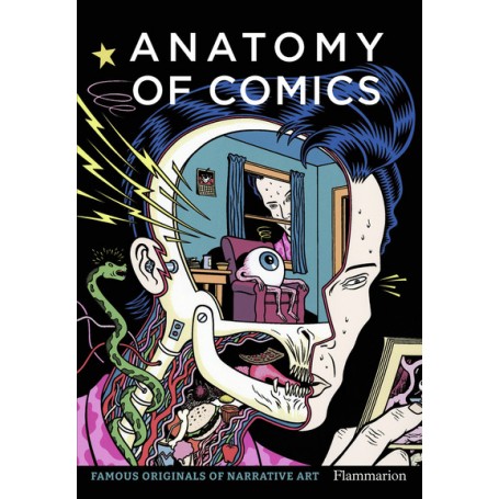 Anatomy of Comics