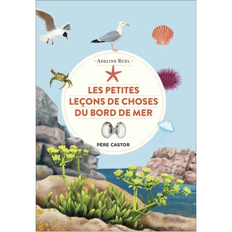 Les petites leçons de choses du bord de mer