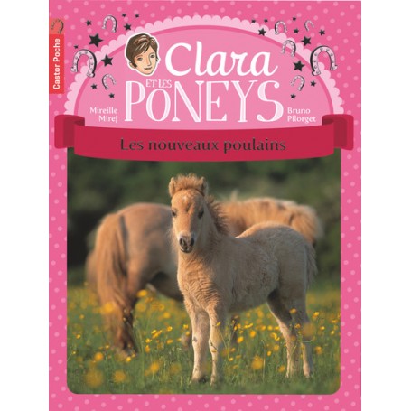 Clara et les poneys