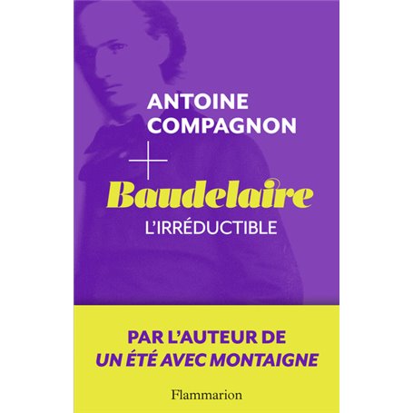 Baudelaire, l'irréductible