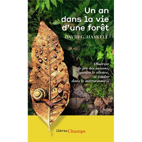 Un an dans la vie d'une forêt