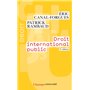 Droit international public