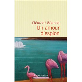 Un amour d'espion