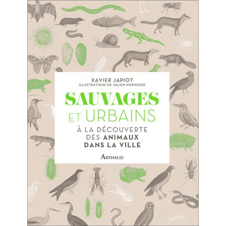 Sauvages et urbains