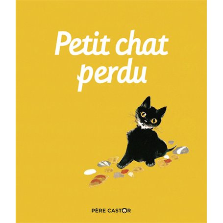 Petit Chat perdu