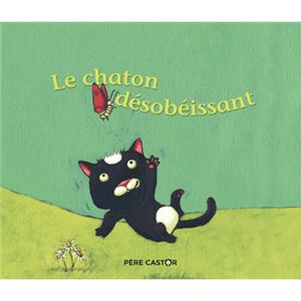 Le chaton désobéissant