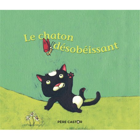 Le chaton désobéissant