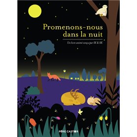 Promenons-nous dans la nuit