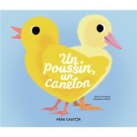 Un poussin, un caneton