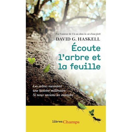 Écoute l'arbre et la feuille