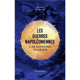 Les guerres napoléoniennes