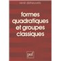 Formes quadratiques et groupes classiques