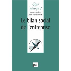 Le bilan social de l'entreprise