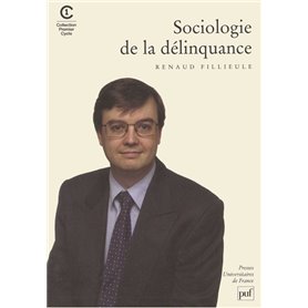 Sociologie de la délinquance