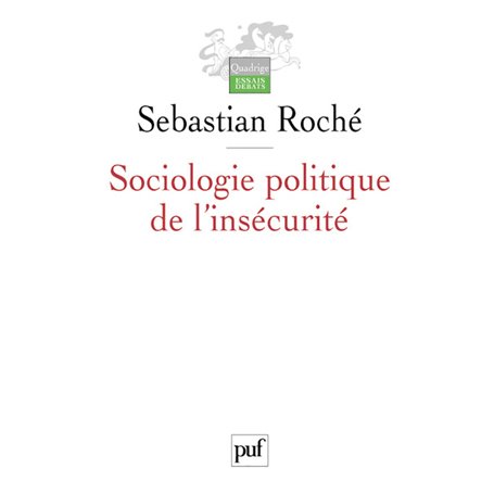 Sociologie politique de l'insécurité