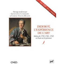 Diderot, l'expérience de l'art