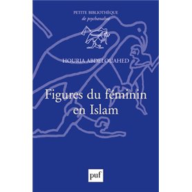 Figures du féminin en Islam