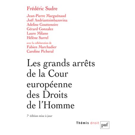 Les grands arrêts de la Cour européenne des droits de l'homme