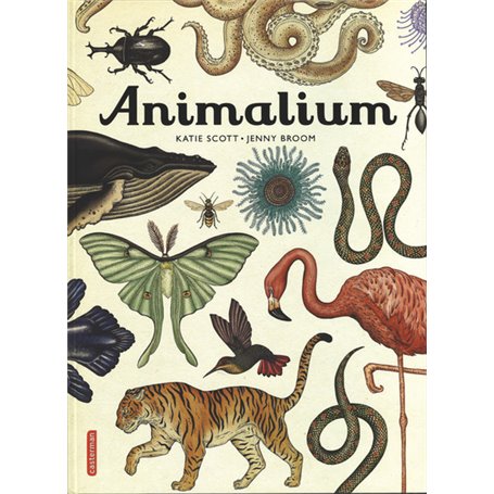 Animalium