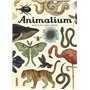 Animalium