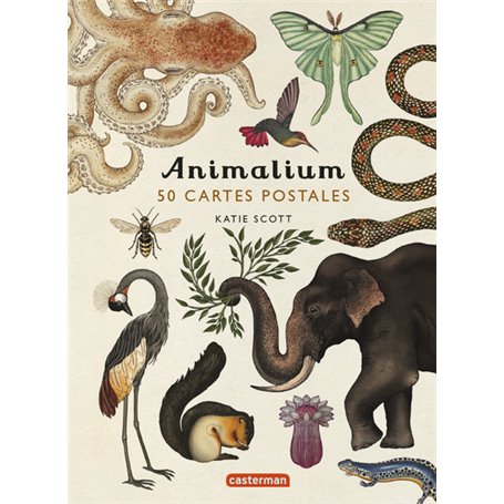 Animalium