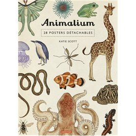 Animalium