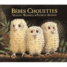 Bébés chouettes