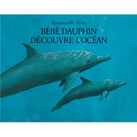 Bébé dauphin découvre l'océan