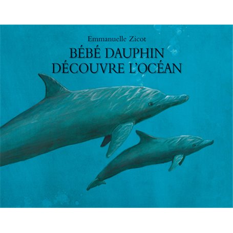 Bébé dauphin découvre l'océan