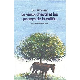 vieux cheval et les poneys de la vallee