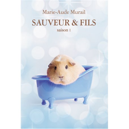 SAUVEUR & FILS SAISON 1 GRAND FORMAT