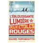 L'éblouissante lumière des deux étoiles rouges