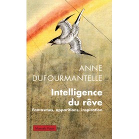 Intelligence du rêve