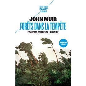 Forêts dans la tempête