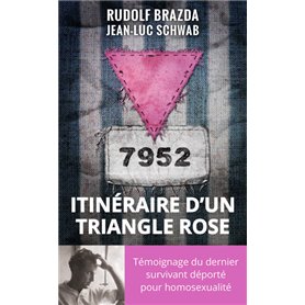 Itinéraire d'un triangle rose