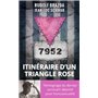 Itinéraire d'un triangle rose