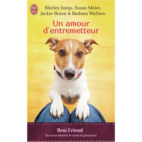 Un amour d'entremetteur