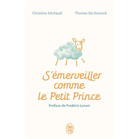 S'émerveiller comme Le Petit Prince