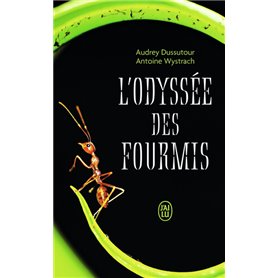 L'odyssée des fourmis