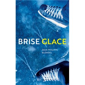 Brise glace