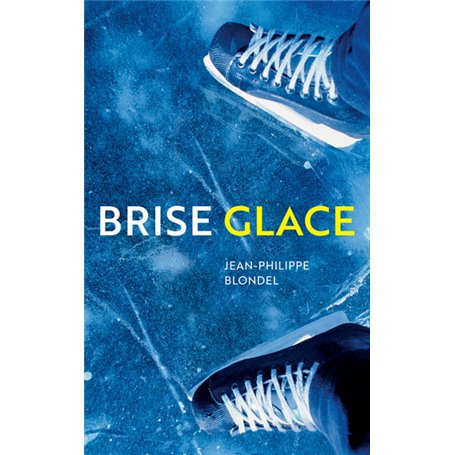 Brise glace