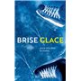 Brise glace