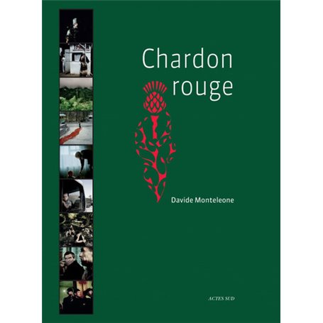 Chardon rouge