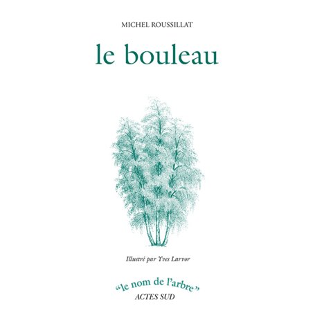 Le bouleau